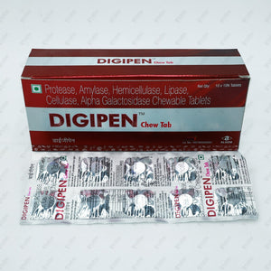Digipen Tablet 10's