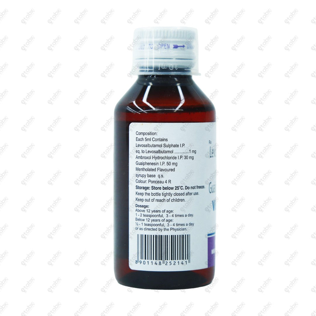 Viscodyne LS Syrup 100ml