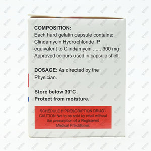 Camyda 300mg Capsule 10's