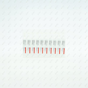 SACCTIK Sachet 10x1g