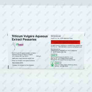 Fheal Ovules 1x6's