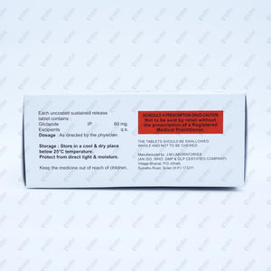 VASOGLIZ 60 SR Tablet 10's