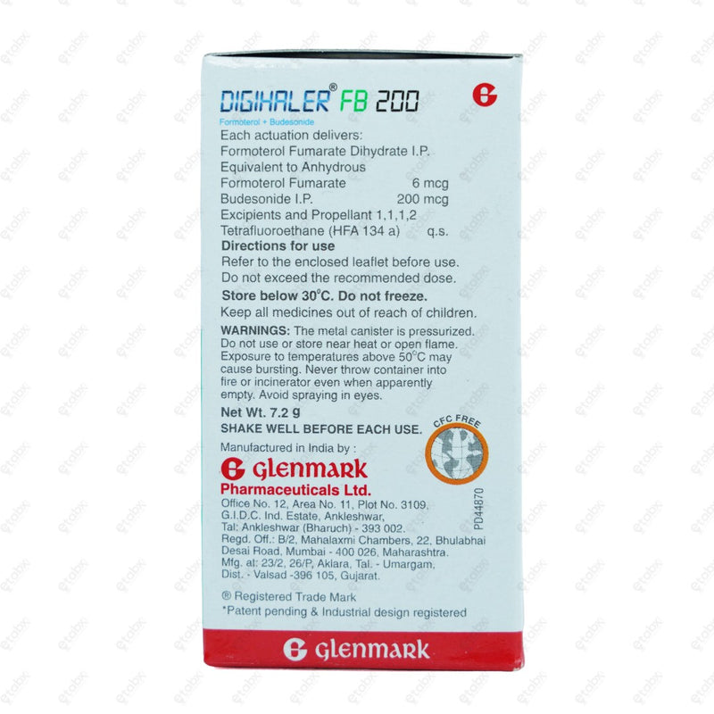 DigiHaler FB 200