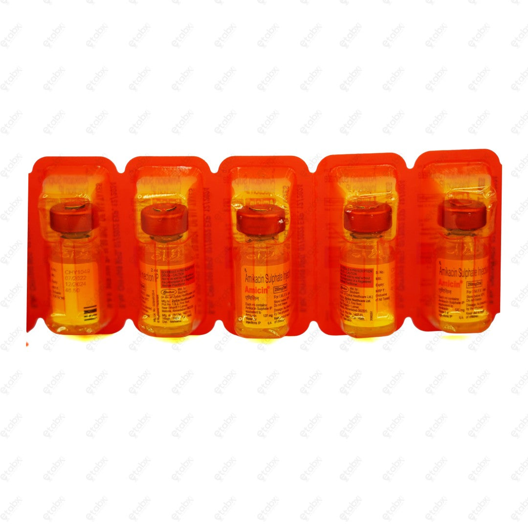 Amicin 250mg Injection