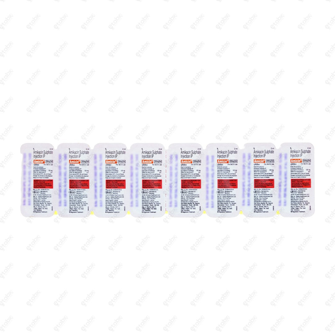 Amicin 250mg Injection
