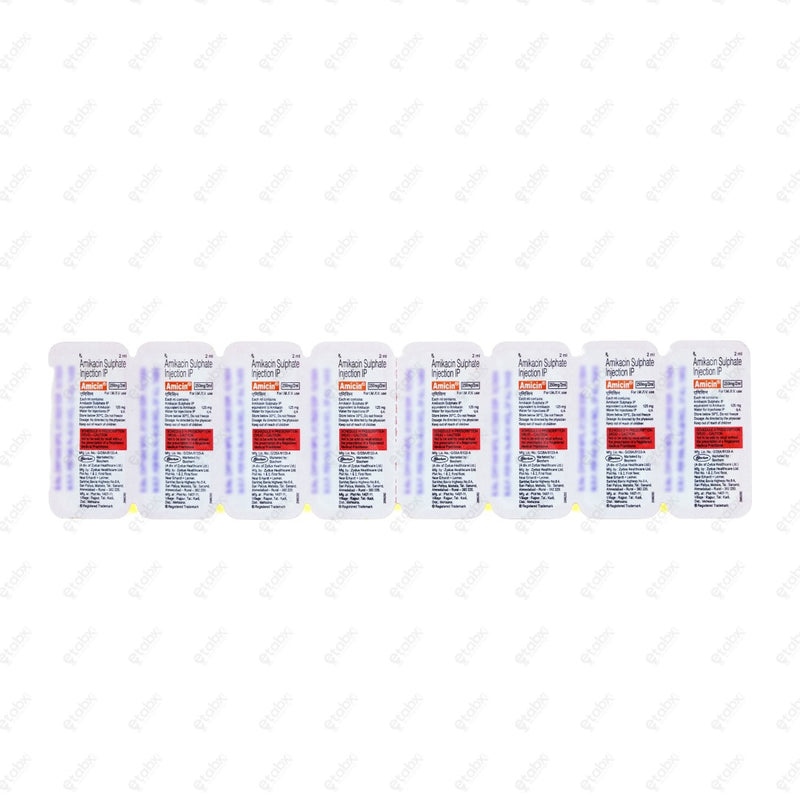 Amicin 250mg Injection