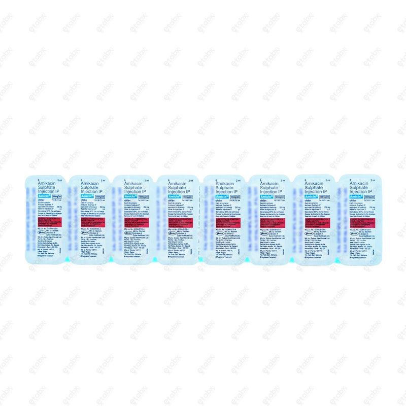 Amicin Injection 500mg