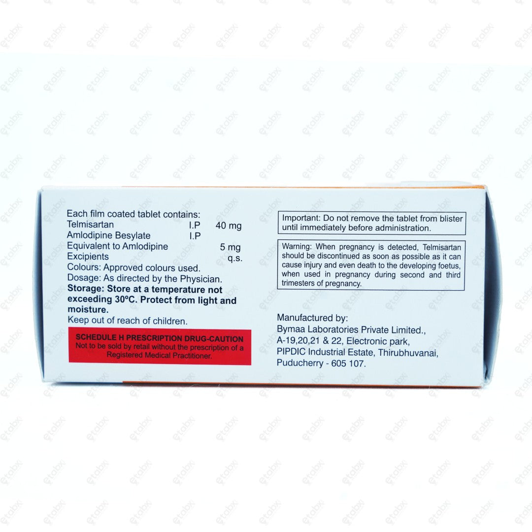 Telvo 40 AM Tablet 10's