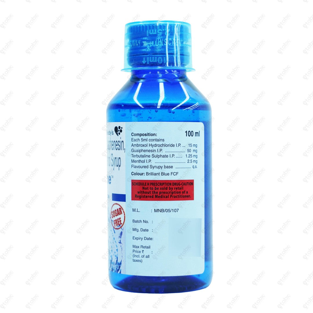 Viscodyne Syrup 100ml